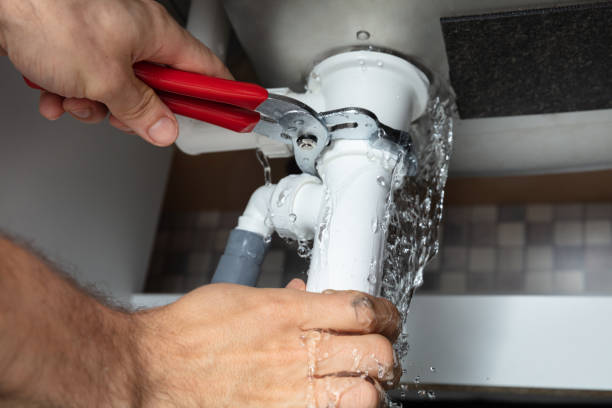 Best Water damage cleanup near me  in Pasadena, MD