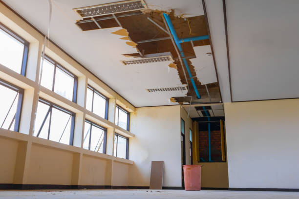 Best 24/7 water damage repair  in Pasadena, MD