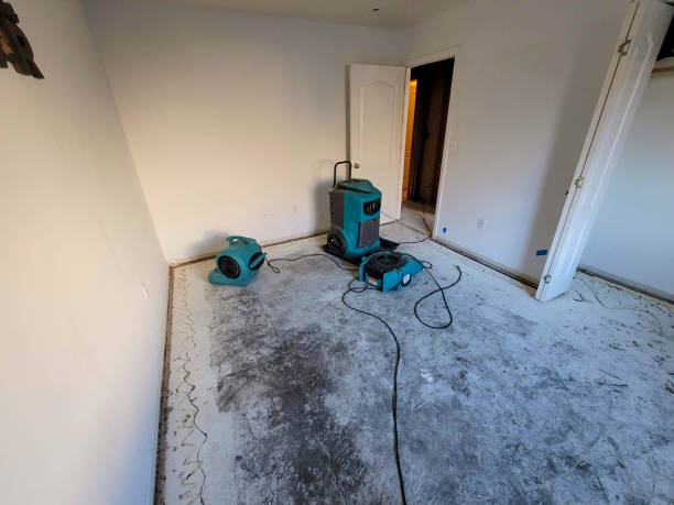 Best Water damage mitigation services  in Pasadena, MD