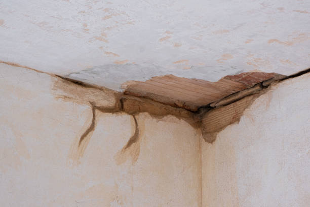 Best Mold removal after water damage  in Pasadena, MD