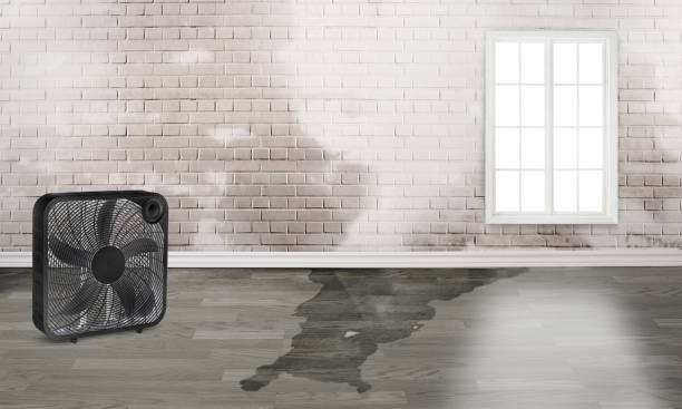 Fire Damage Restoration in MD