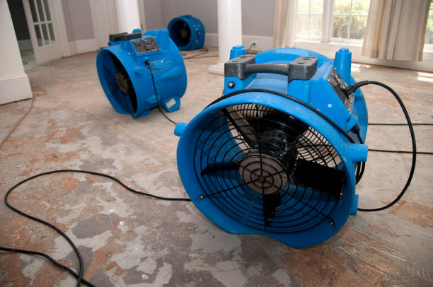 Best Local water damage restoration  in Pasadena, MD