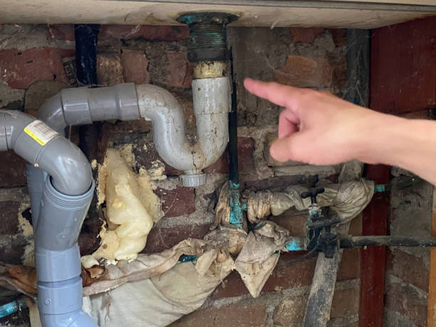  Pasadena, MD Water damage restoration Pros
